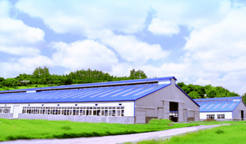 Why More And More Steel Structures Are Used for Agricultural Buildings